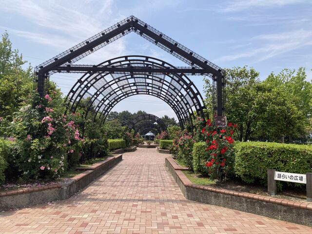 大牟田市諏訪公園_大牟田市諏訪公園
