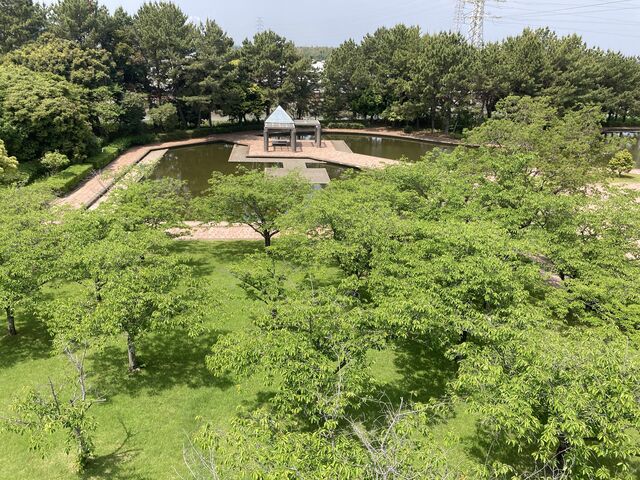 大牟田市諏訪公園_大牟田市諏訪公園