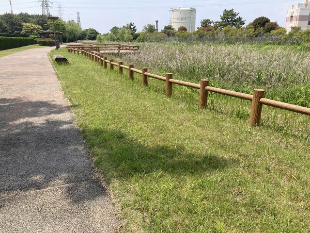 大牟田市諏訪公園_大牟田市諏訪公園
