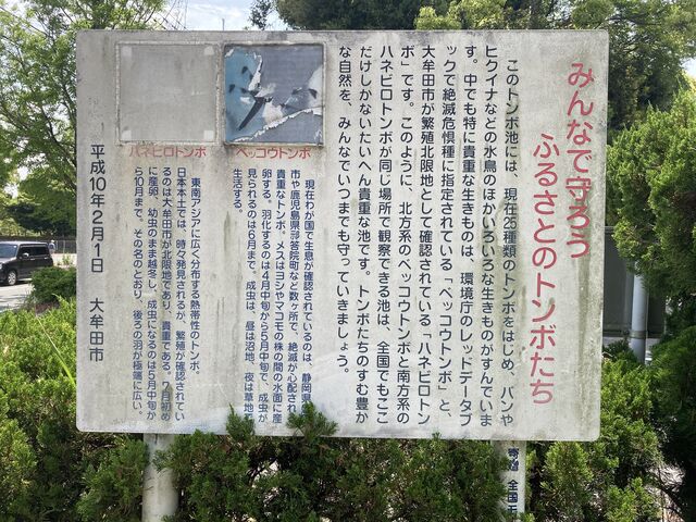 大牟田市諏訪公園_大牟田市諏訪公園