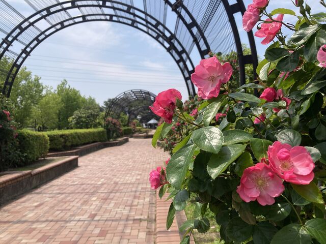 大牟田市諏訪公園_大牟田市諏訪公園