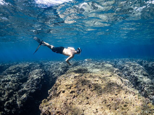 カメにも遭遇できました!_Saltwater social club