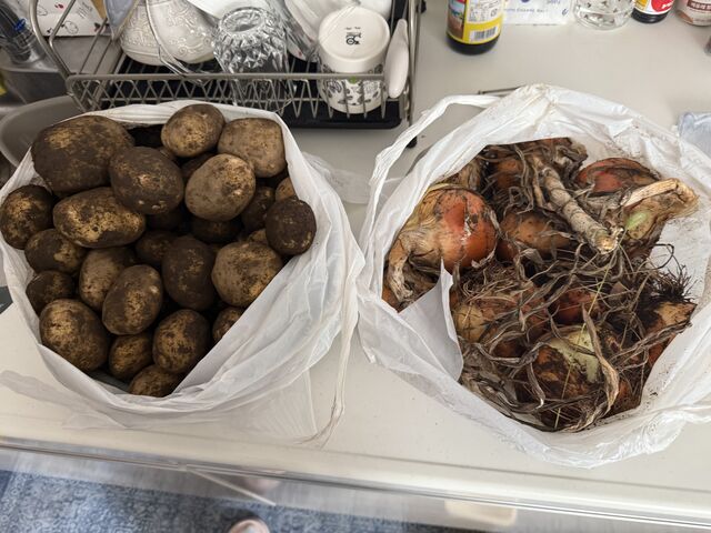 玉ねぎ2.7kg
ジャガイモ3.6kg_尾島農園