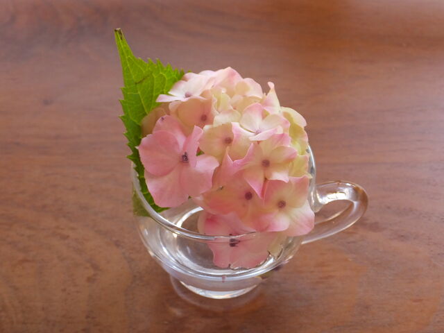 テーブルに置かれた紫陽花_鎌倉 創作和菓子 手毬