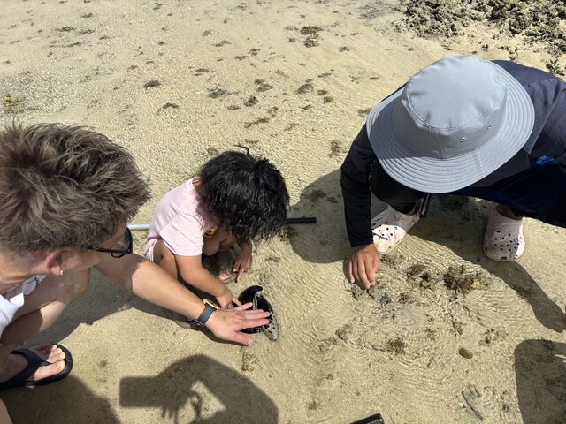 なまこを触っている写真です。_やーるーくらぶ