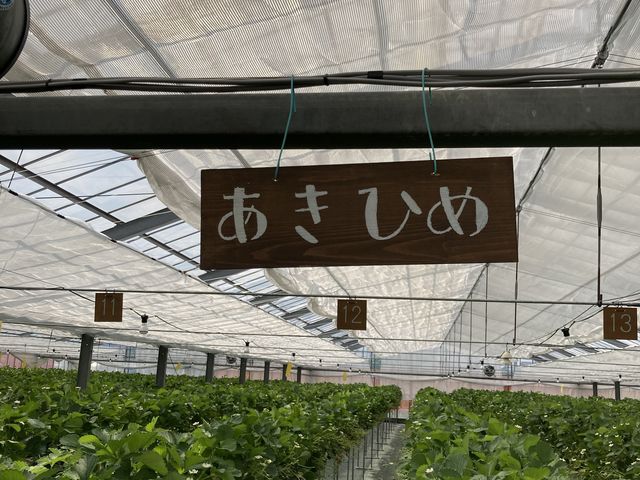 各レーン_farmいちごろ