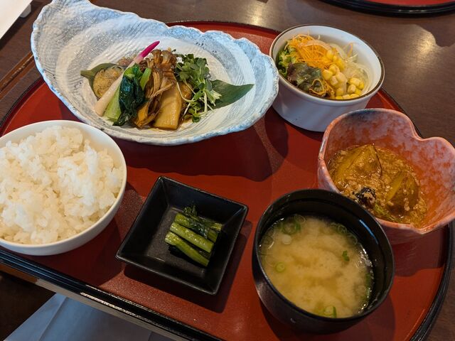 【日替わりランチ和食】鰤の照り焼き / じゃがいものそぼろ餡かけ_アルピコプラザホテル ナゴミザ