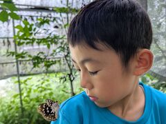 国営飛鳥歴史公園の写真1