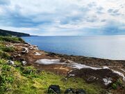 甘辛熊さんの伊豆岬の投稿写真2