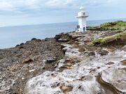 甘辛熊さんの伊豆岬の投稿写真3