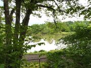 甘辛熊さんの塩沢湖の投稿写真1