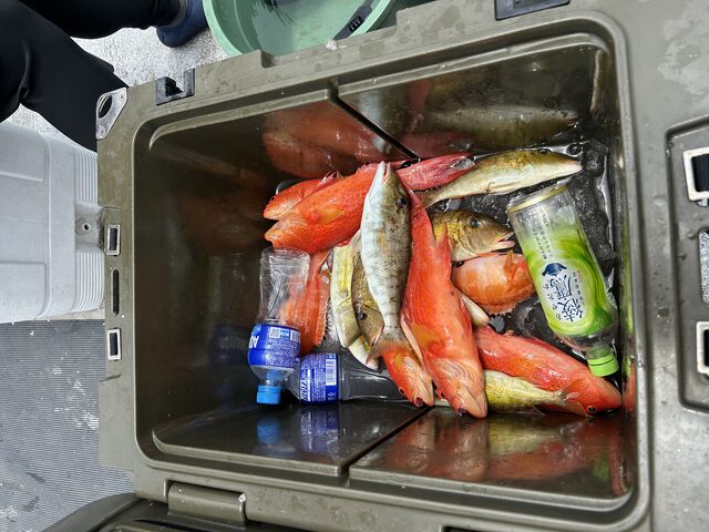 釣った魚_釣り船 博栄丸