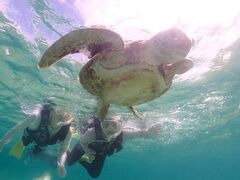 ユリさんのOkinawa tripsへの投稿写真1