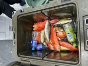 Takkyさんの釣り船 博栄丸の投稿写真1