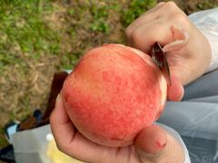 陣平農園の写真1