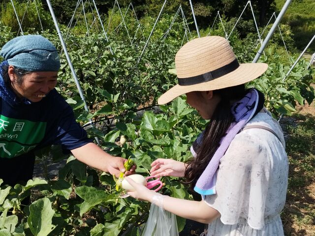 収穫_58ロハスファーム ブルーベリー狩り