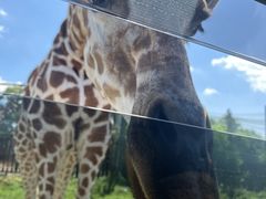 那須サファリパークの写真2