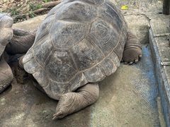 おきなわワールドの写真1