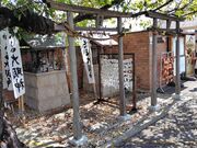 Tさんのたま大明神の投稿写真1