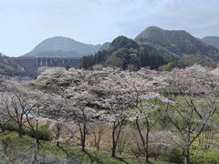 sakkyさんの耶馬溪ダムへの投稿写真1