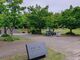 たれれったさんの中央公園への投稿写真3