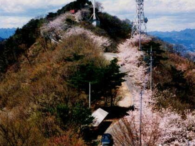 牛伏山の写真1