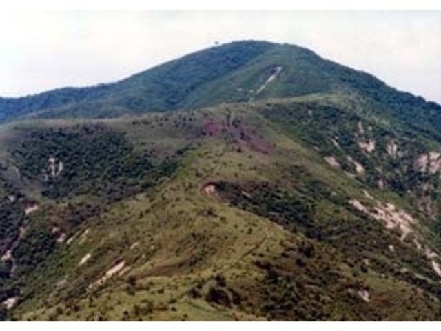 大倉岳の写真1