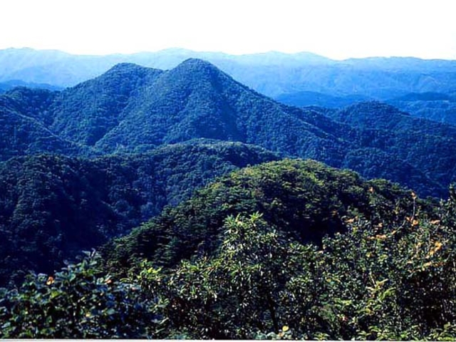 鞍掛山の写真1