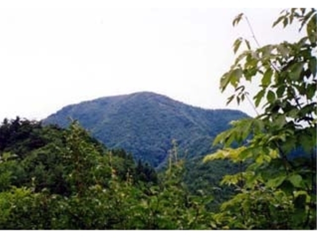 動山_動山