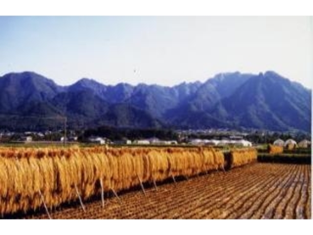 独鈷山