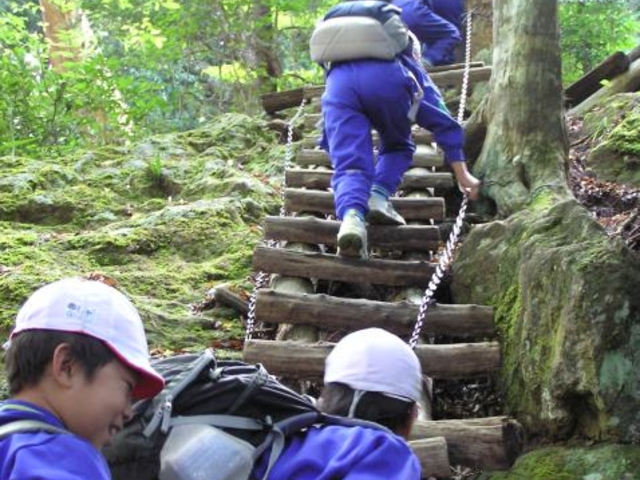 岩古谷山の写真1