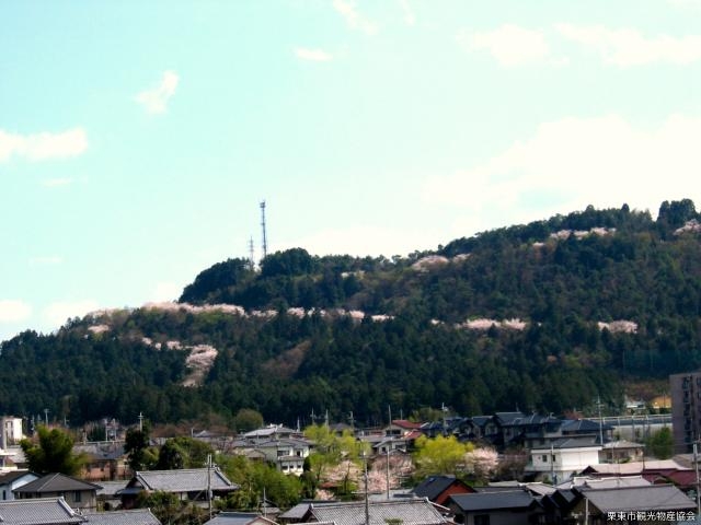 安養寺山の写真1