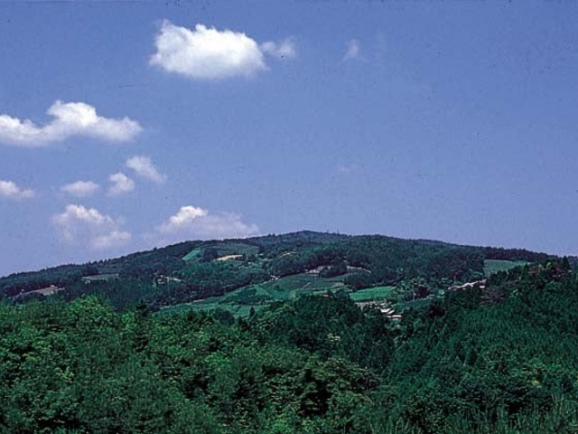 神野山