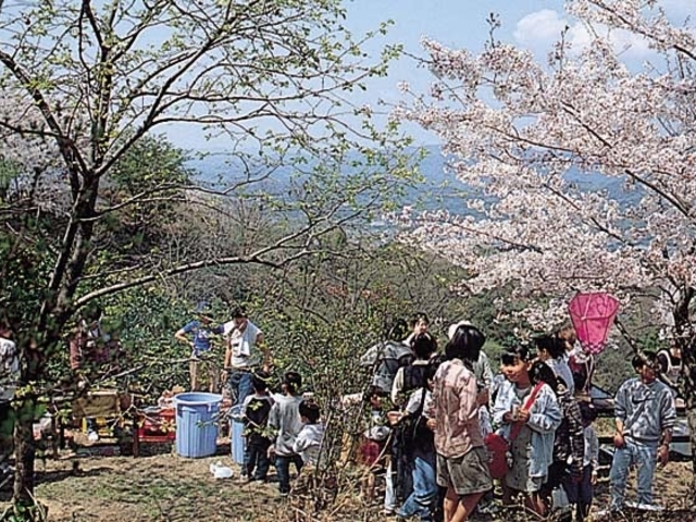 高畑山の写真1