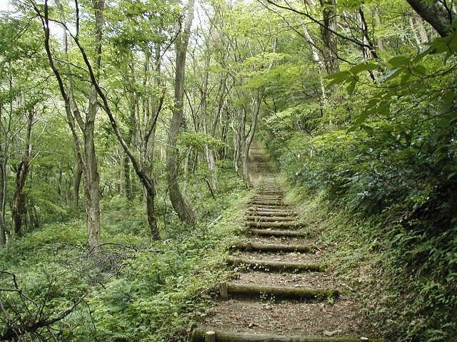 琴引山の写真1