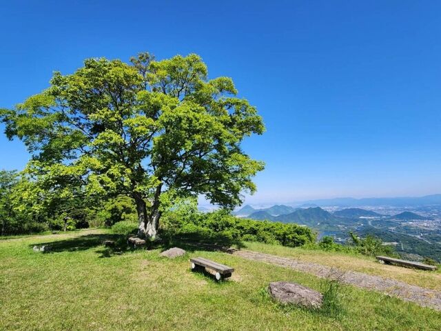城山の写真1