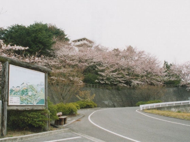 谷上山の写真1