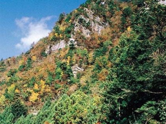 岩躑躅山の写真1