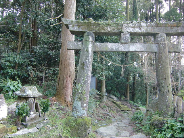 三池山の写真2