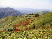 大川入山の写真1