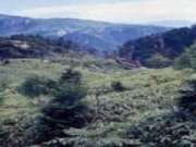 南木曽岳の写真1