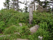 鳥甲山の写真1