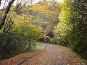 安養寺山の写真3