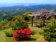 重畳山の写真2