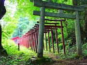 衣掛山の写真3