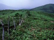 道後山の写真1