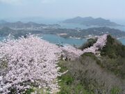 積善山の写真1