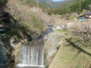 古処山の写真2