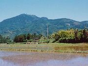 八幡岳の写真1
