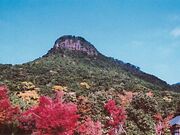冠岳の写真1